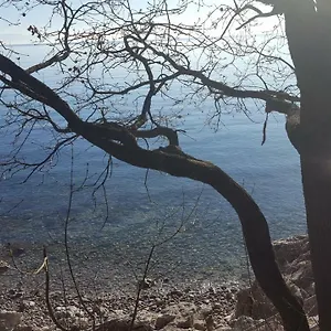 Sandi , Rijeka Kroatien